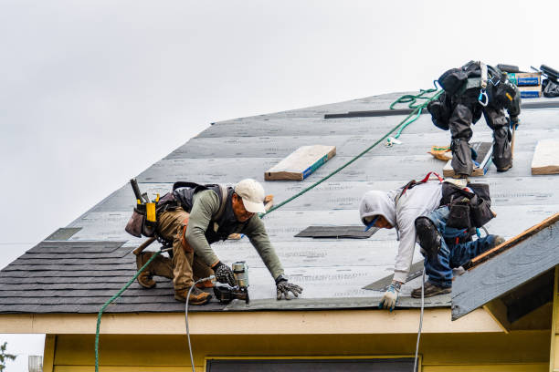 Professional Gutter Installation technician working in Hollandale, MS